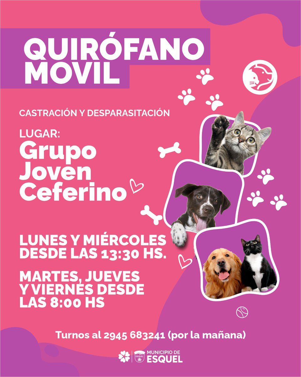 🐶🐱 ¡El quirófano móvil llega al barrio Ceferino!

📍 Grupo Joven Ceferino
Lunes, miércoles y viernes a las 13.30 
Martes y jueves desde las 8.30

Acercá a tus mascotas para acceder a los servicios de castración y desparasitación totalmente gratuitos.