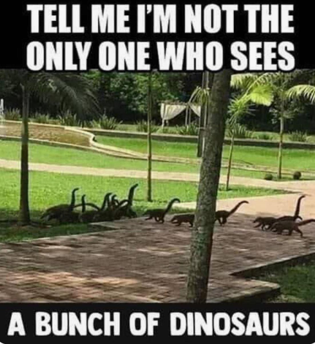 Good day to <a href="/AliceSt15359996/">Alice</a> <a href="/Harl3y5150/">Harley</a> <a href="/JenMistress/">Princess Jen</a> <a href="/Kathy_Porter/">Kathy Porter</a> <a href="/Kbirdcat/">Kbirdcat</a> and <a href="/taykay1992/">Taylor</a>