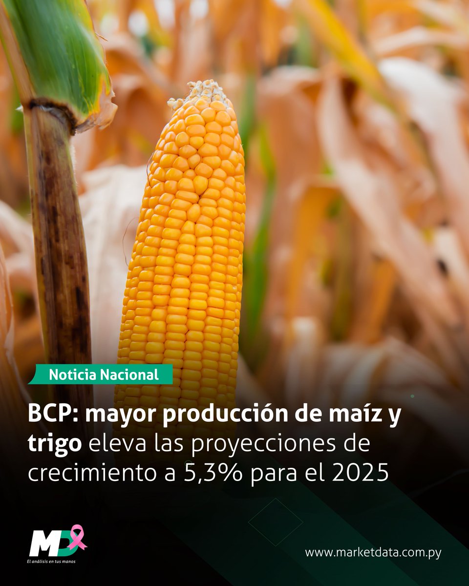 marketdata_py's tweet image. 📈 El Banco Central del Paraguay revisó al alza su proyección de crecimiento económico para este año, de 4,4% a 5,3%, impulsado principalmente por un mejor desempeño del sector primario.
📍 Leé más en n9.cl/3zftq