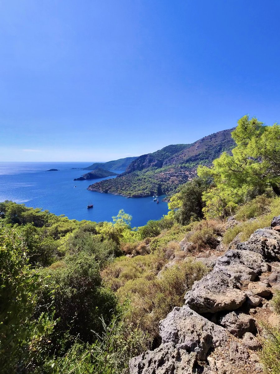 Ben Warren 🏏 tweet media