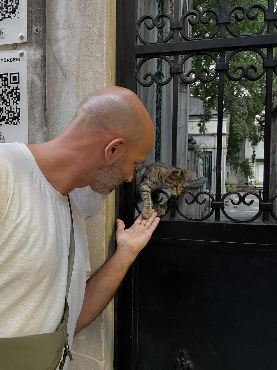We don't deserve cats 😺 tweet media