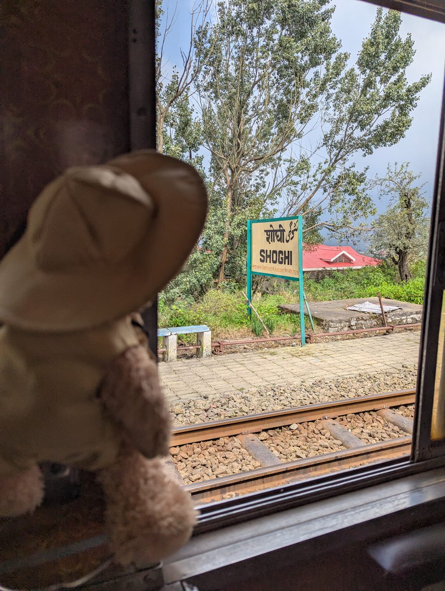 FlynnTheBear's tweet photo. Scohi Station. #Flynn #FlynnTheBear #India #Scohi https://t.co/CgxWh5guBY