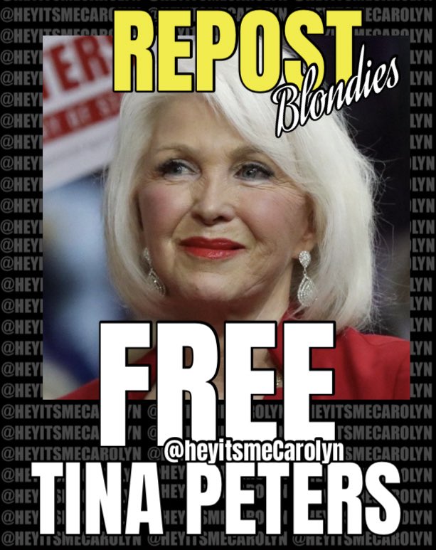 FREE TINA PETERS‼️#FreeTinaPeters 
She has been in prison for 382 days‼️