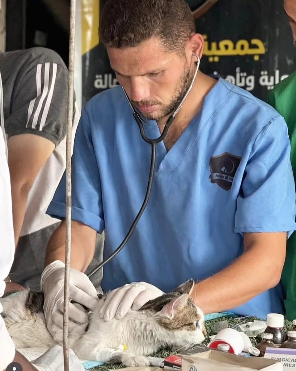 dominic dyer tweet media