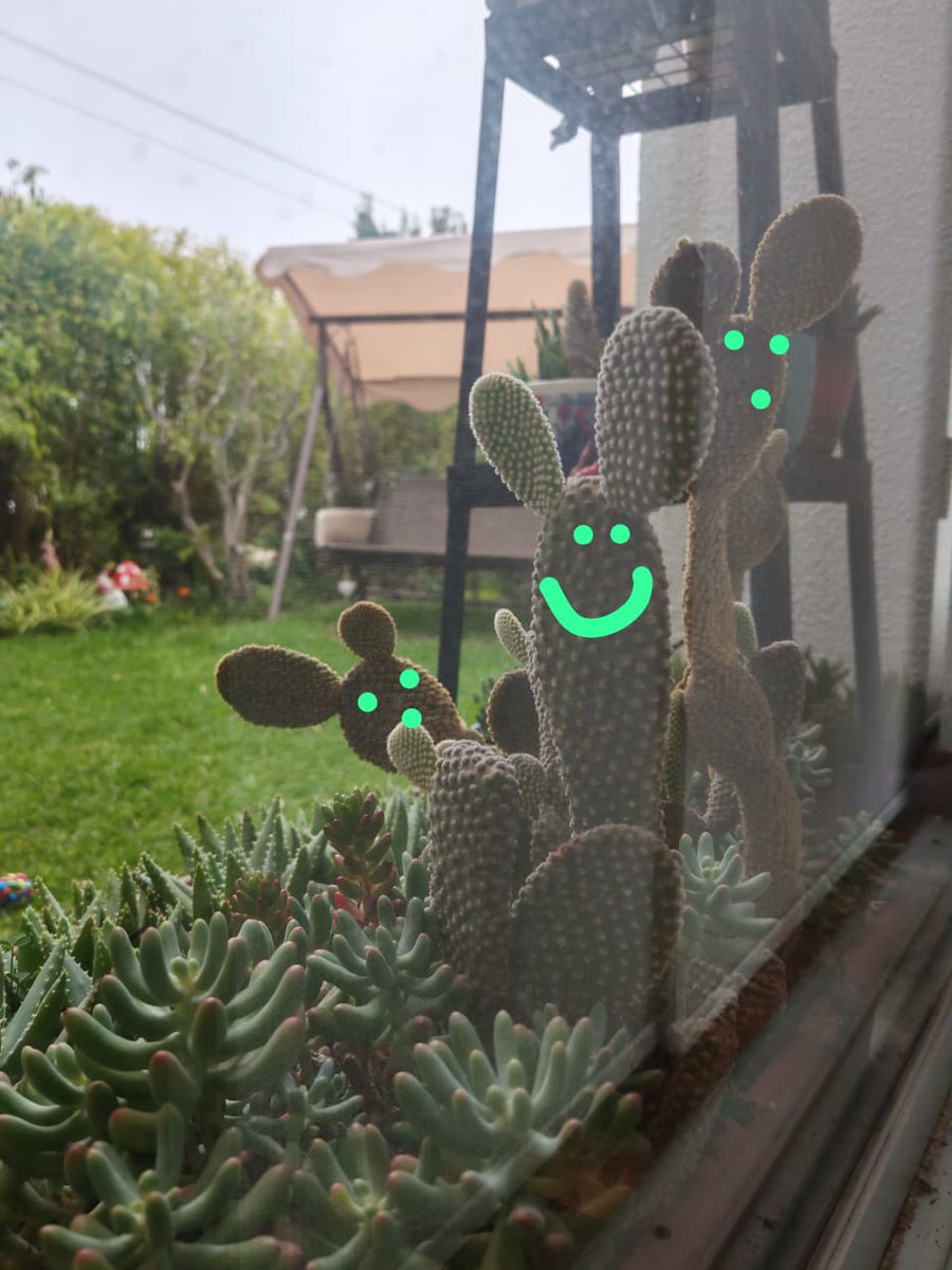 Vayamos por la vida viendo cosas bonitas. 
-cactus Mickey Mouse 🤣

Buenos días!