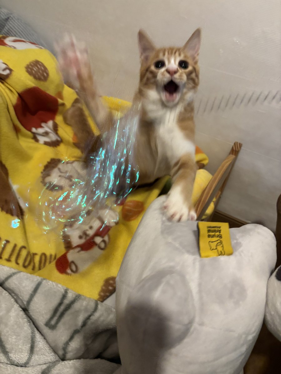 ごおおおおおおおおおおおおおく