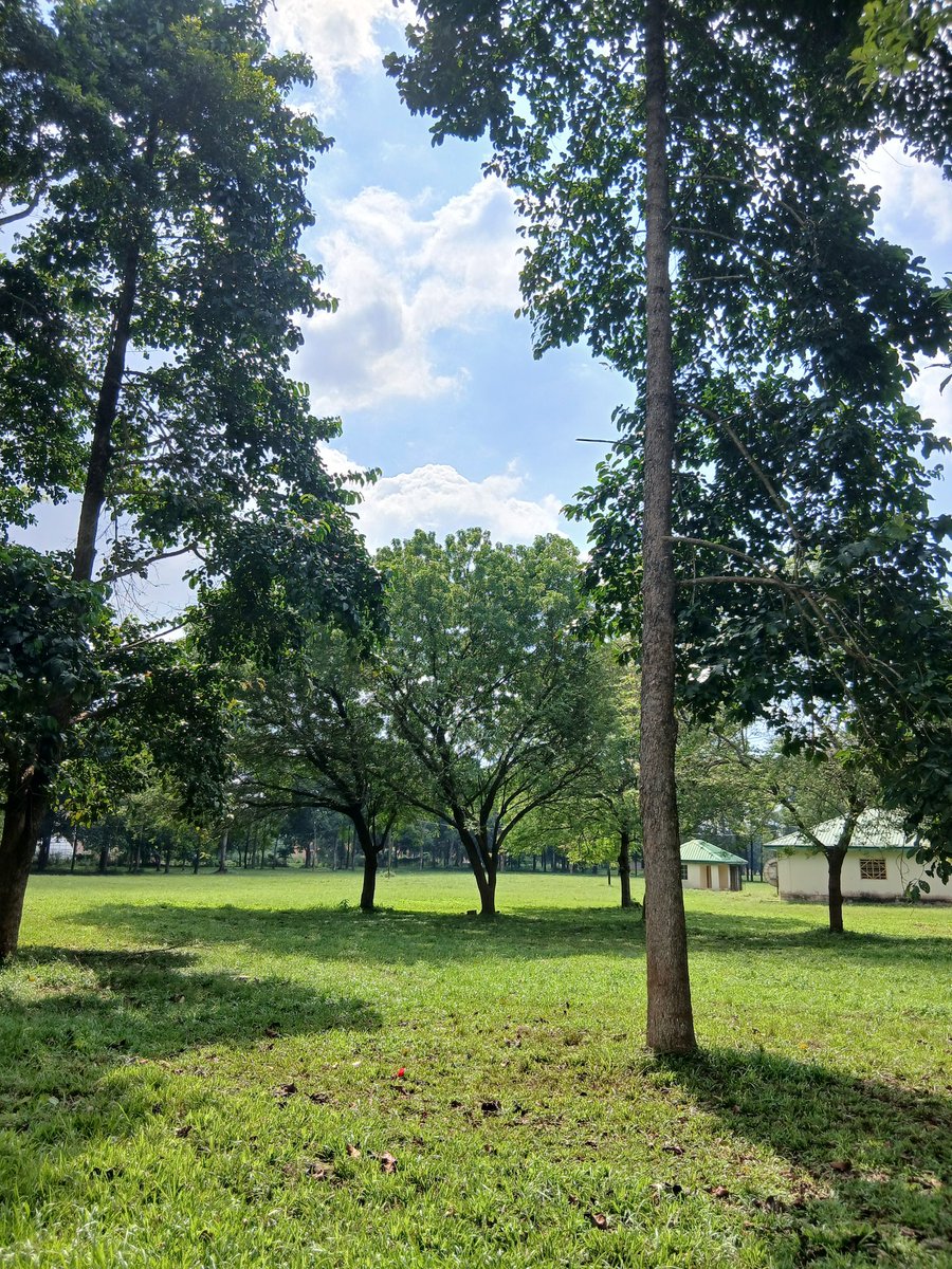 Jordanx147x's tweet image. Which processing style do you prefer? Bright and even HDR or increased shadows and contrast?