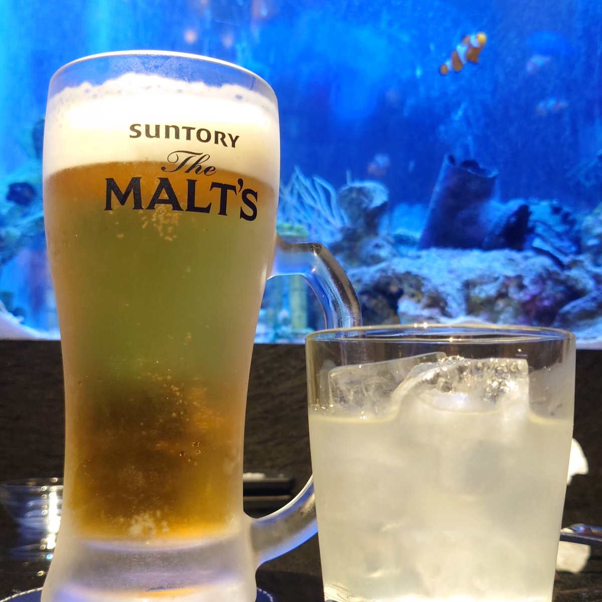 shinjuku_poke's tweet image. アクアリウムダイニング来た✨
新宿で飲みまくるぞ〜👍
#p活 #コンカフェ