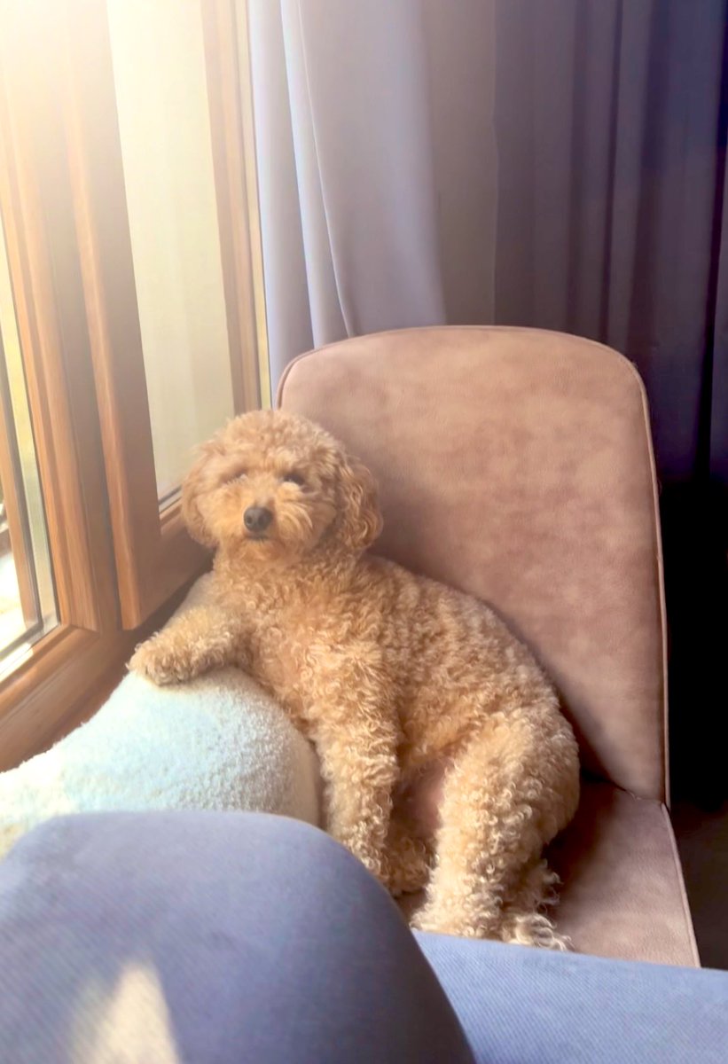Teddy 🧸 tweet media