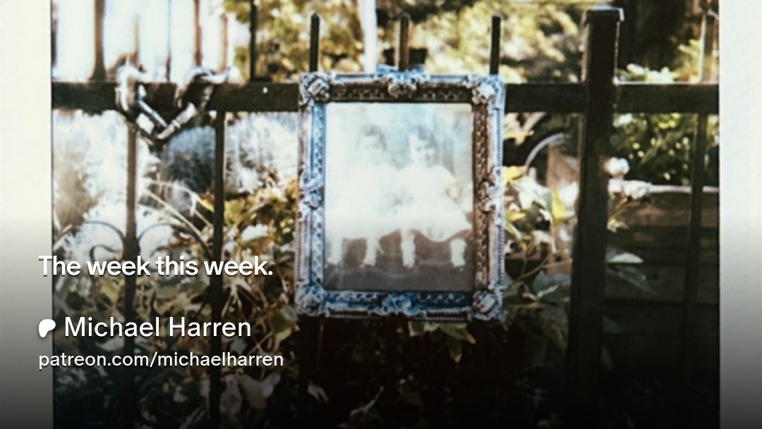 Michael Harren tweet media