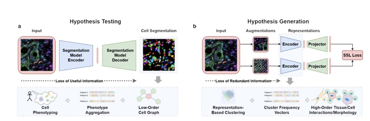 BiologyAIDaily's tweet image. Self-Supervised AI Reveals a Hidden Landscape of Prognostic Spatial Patterns in Multiplex Immunofluorescence Images
1. A novel study introduces a self-supervised learning (SSL) framework to uncover hidden spatial patterns in multiplex immunofluorescence (mIF) images, revealing…