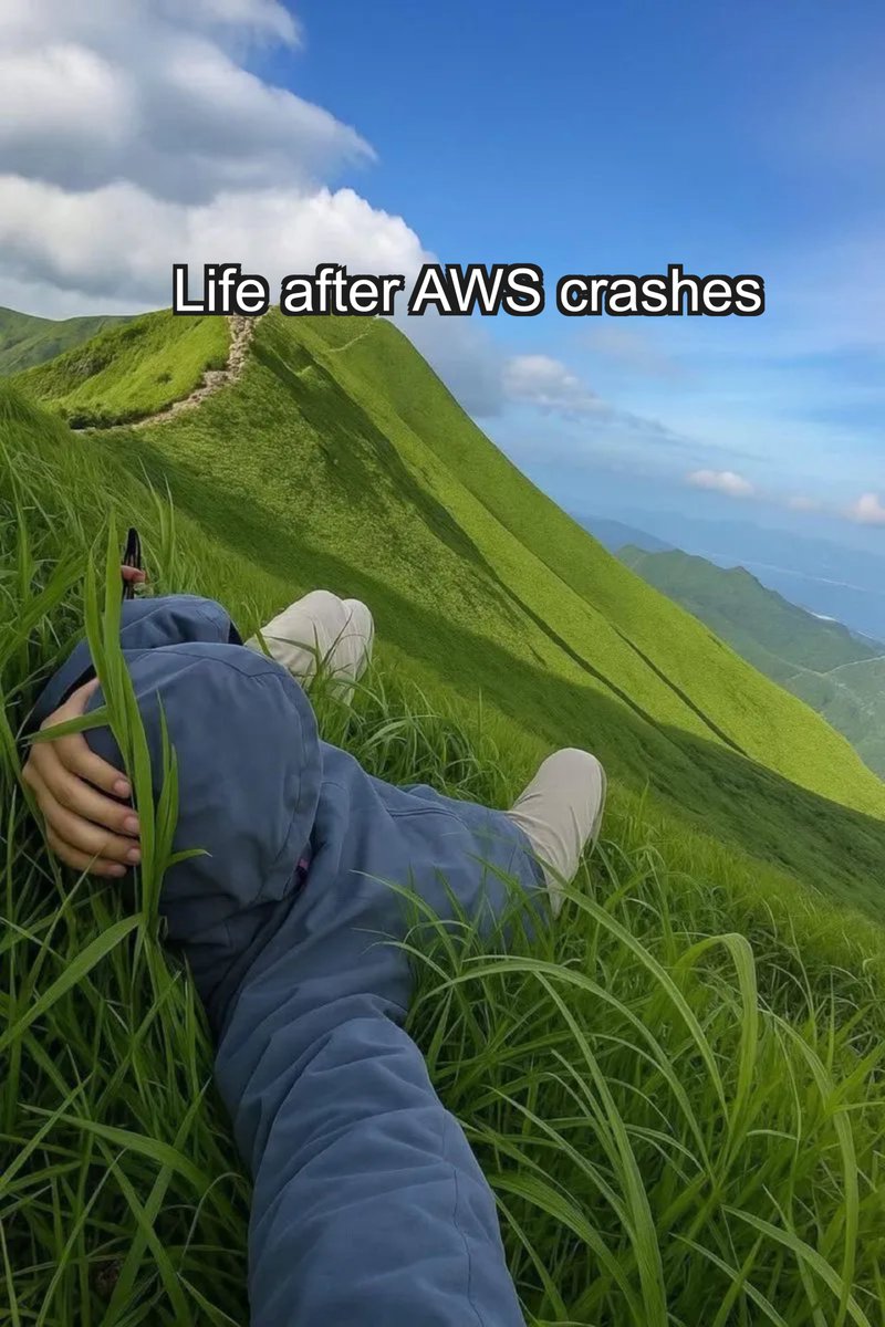 iamjasonlevin's tweet image. AWS CRASH, TOUCH GRASS