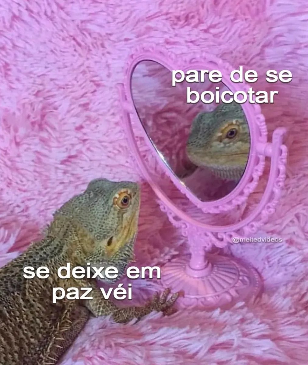 paginalixo1's tweet photo. assim de saude https://t.co/fcwNxD5Al7