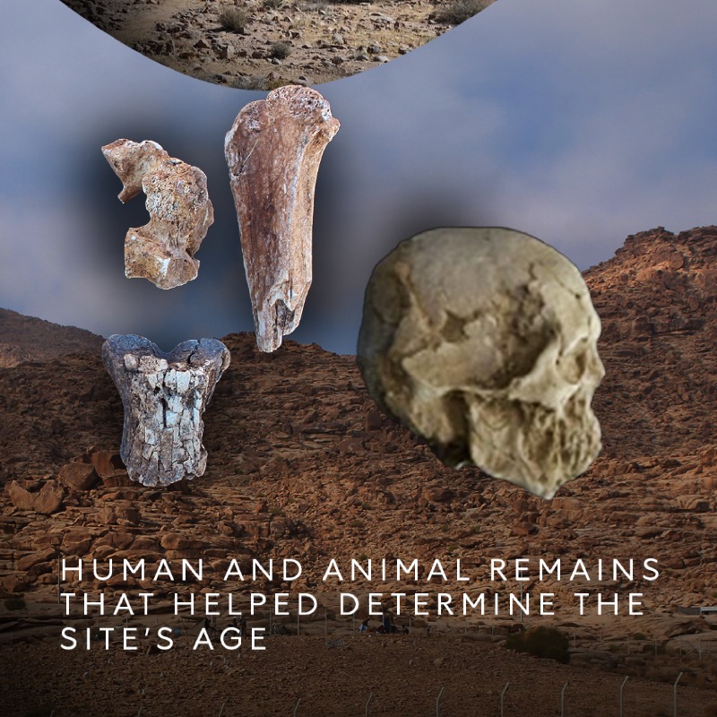 NEOM's tweet photo. #Musaywin… where archaeology reveals the features of a complete community that lived in the Arabian Peninsula more than 10,000 years ago, bearing witness to the dawn of human settlement.
#NEOM @MOCHeritage