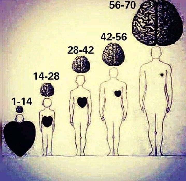 cabugufii's tweet image. The way you interpret this image is non of my business.

#HappyNewWeek