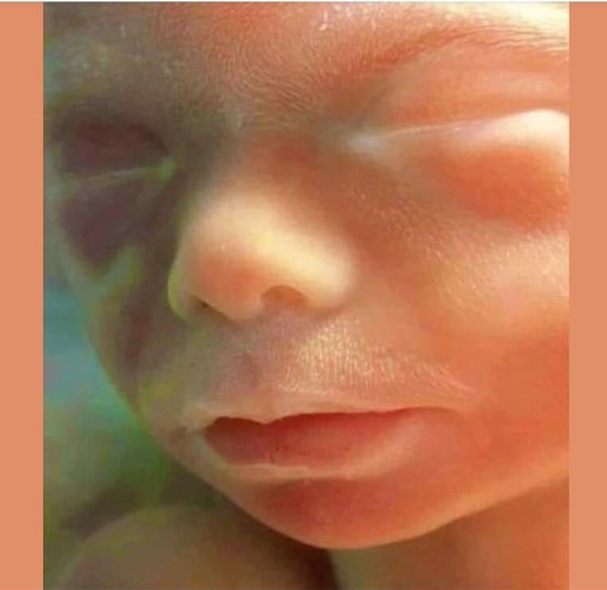 LifeNews.com tweet media