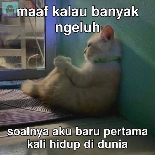 Tanyarl 💚 tweet media