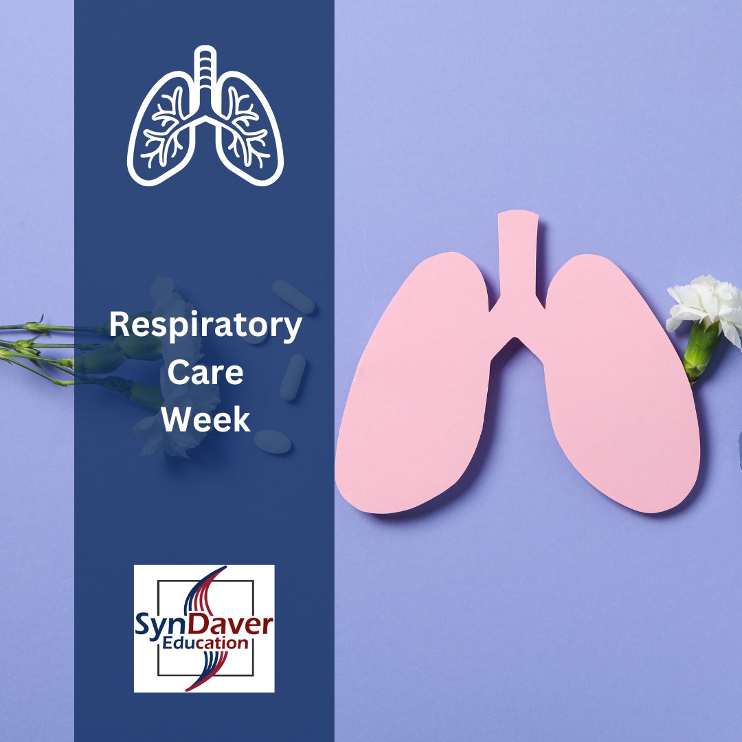 Happy Respiratory Care Week!

This week, we celebrate the dedicated respiratory therapists and educators who help us all breathe a little easier. 

#RespiratoryCareWeek #SynDaverEducation #RespiratoryTherapy #MedicalEducation #HealthcareHeroes
