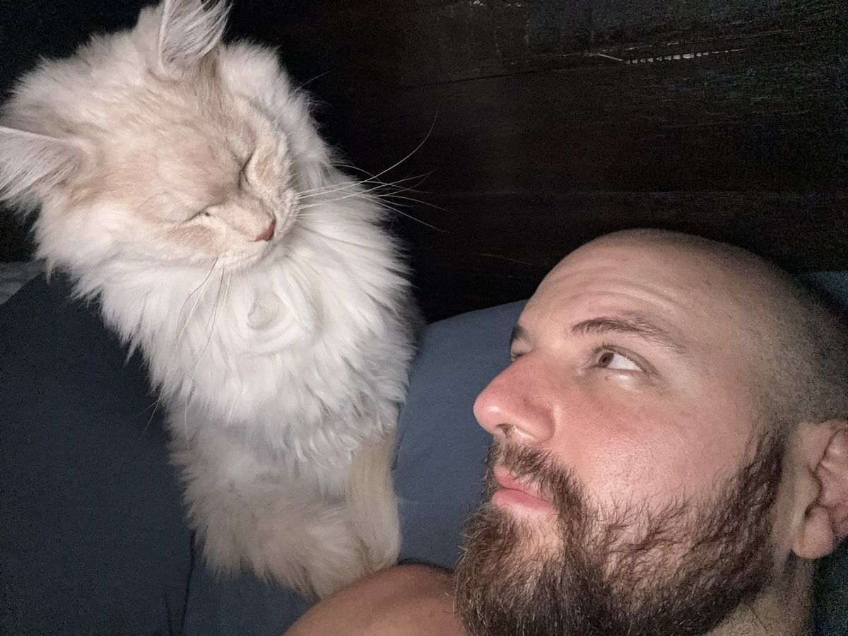 Tectone's tweet photo. Bros been waking me up the same way for 4 years 🤣

He just towers over me and barks https://t.co/egTHJ67foG