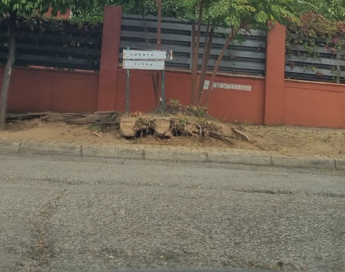 Pero claro, si tenemos en cuenta que han caído otros árboles y ramas hace AÑOS, levantando acerados y señales, y todavía no se han arreglado, pues claro..se entiende todo mucho mejor.
Esto ocurrió más de 5 años, y así sigue.