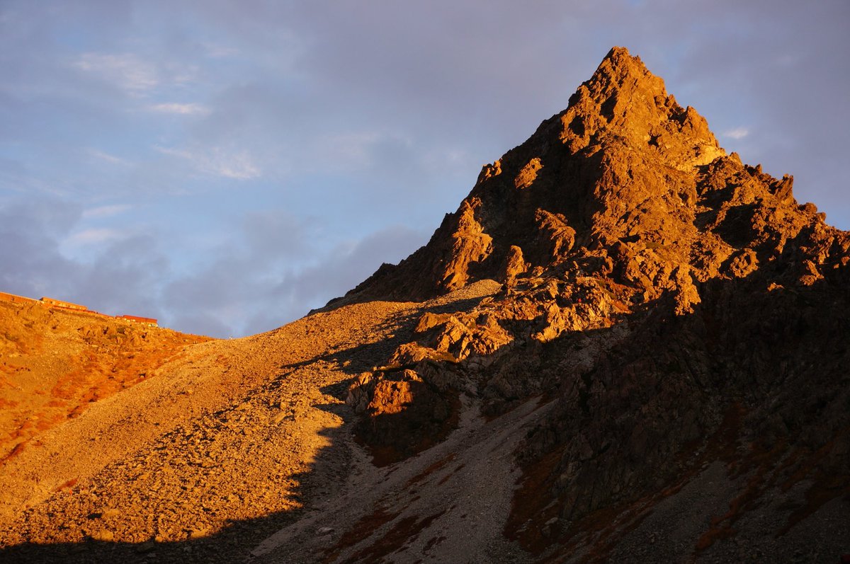 #これを見た人はオレンジが入ってる画像を貼れ