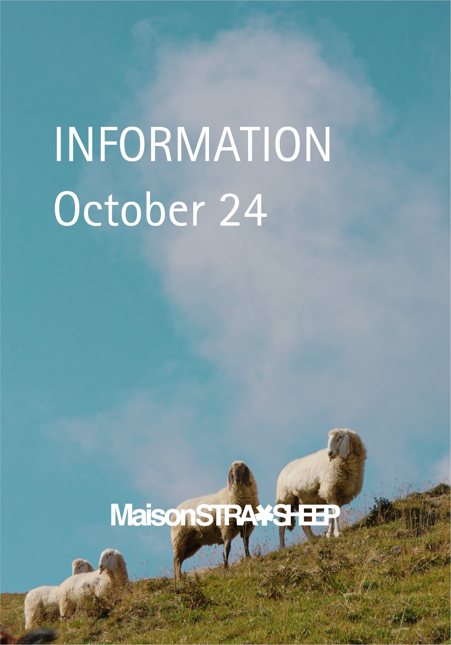 MAISON STRAYSHEEP (@msnstraysheep) / X