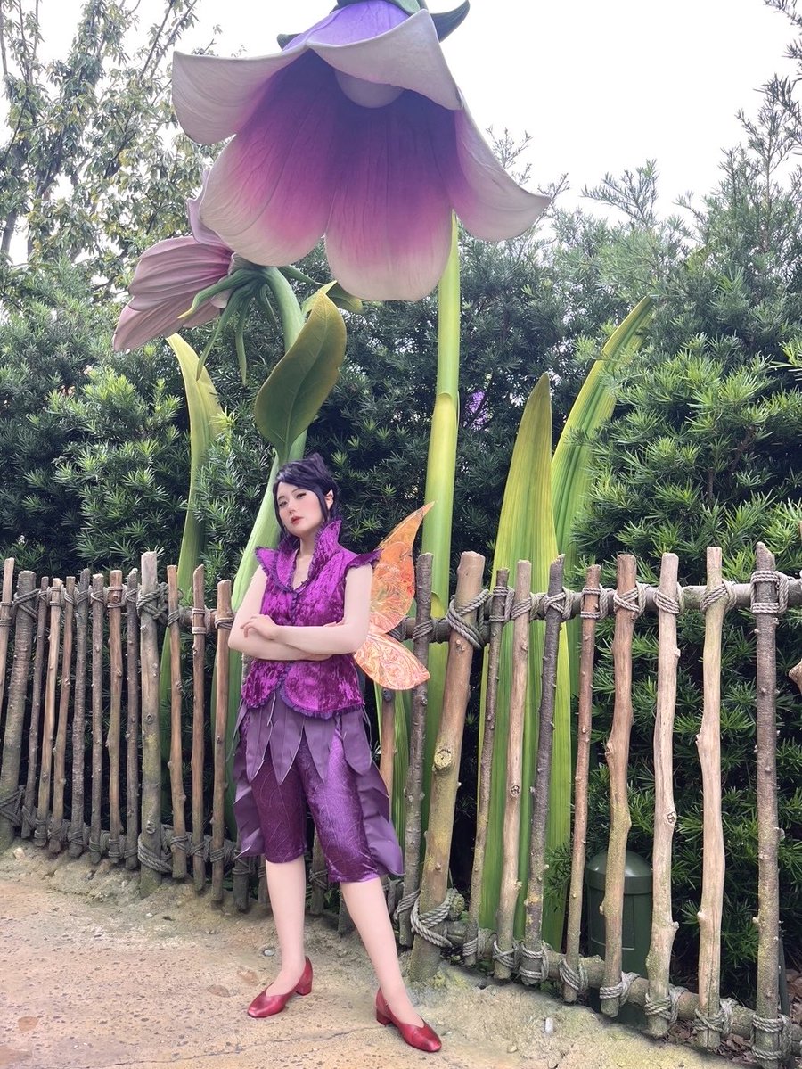 19日はフェアリーズでヴィディア✨️🧚‍♂️💜
みんなの羽がキラキラしてて歩いているだけでかわいくて幸せな時間だった～！
 #Dハロ仮装 
 #Dハロ仮装2025