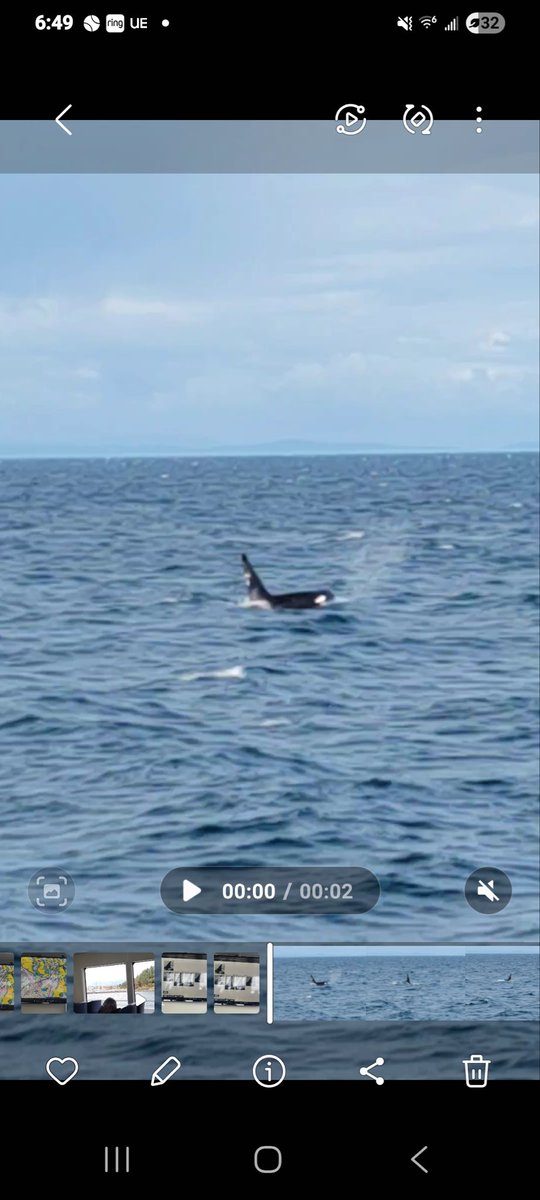 One of our <a href="/LifeScanSaves/">Life Scan Wellness</a> clinical teams providing #earlydetection &amp; enjoying Pacific NW life! <a href="/EastsideFire/">Eastside Fire & Rescue</a> <a href="/PIOMarkBrady/">Mark Brady</a> <a href="/fireengineering/">Fire Engineering</a> <a href="/OCFAChief/">Chief Brian Fennessy</a> <a href="/ChiefSamPena/">Samuel Peña</a> <a href="/ChiefOttoDrozd/">Chief Otto Drozd</a> <a href="/Di_Cotter/">Diane Cotter</a> <a href="/HazmatandRescue/">Hazmat and Rescue Training</a> <a href="/5AlarmTaskForce/">5-AlarmTaskForceCorp</a> <a href="/WAFireChiefs/">WaFireChiefs</a> <a href="/wafiremarshal/">WA Fire Marshal</a> <a href="/WAFireAcademy/">Washington State Fire Training Academy</a>