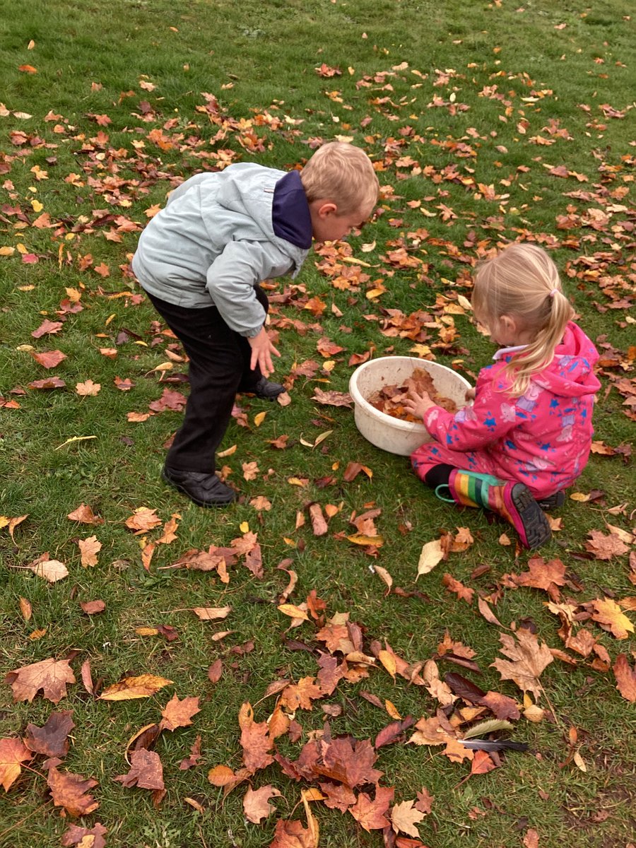 CamblesSchool's tweet photo. Team Pandas are enjoying learning about autumn and exploring our autumn leaves. #CamblesforthEYFS #CamblesforthScience https://t.co/jwZdOjjpXT