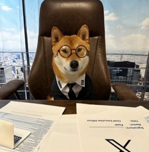 Flōki the Dog, CEO of 𝕏