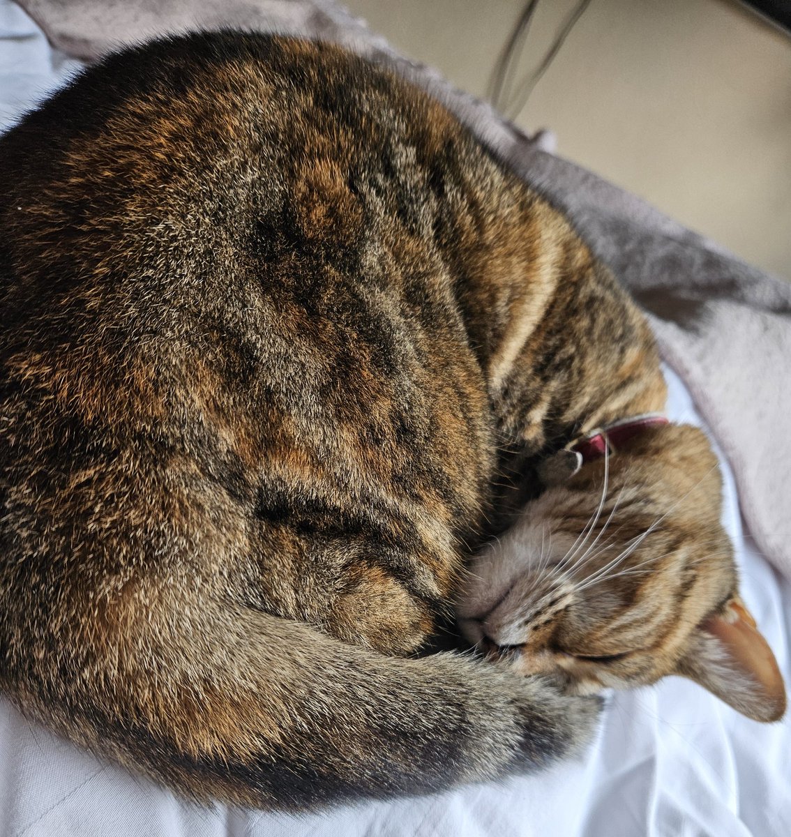 Katie really is the sweetest girl.  She knows I've had a migraine, so she won't leave me ❤️