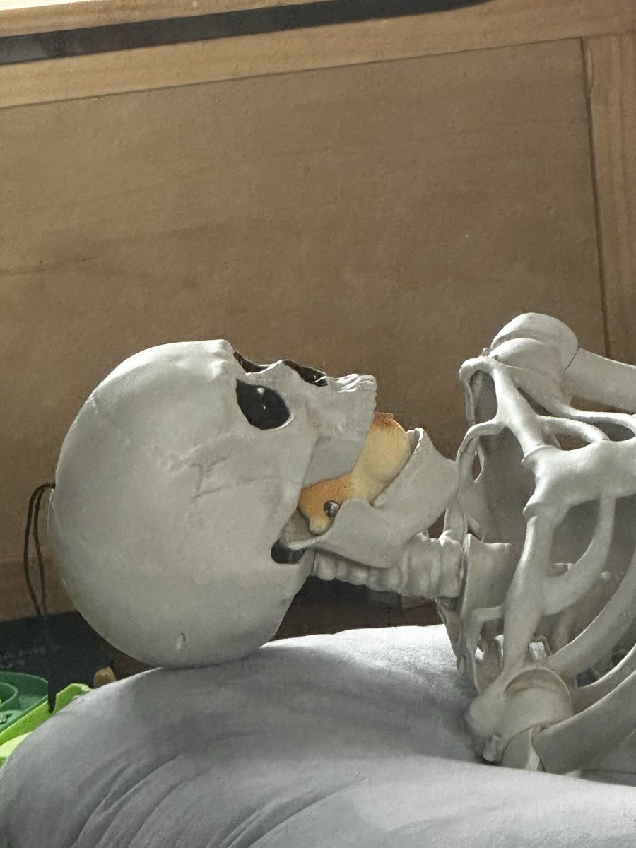 Copper_Shop_419's tweet image. Mondays, am I right?