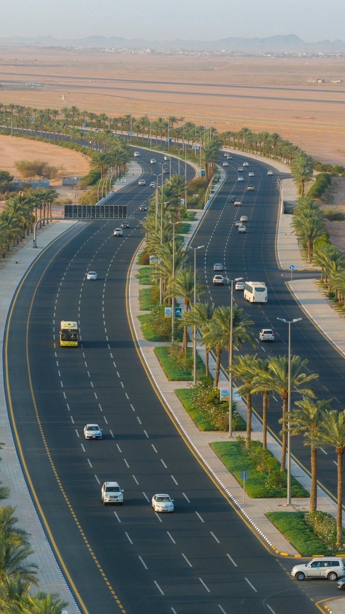 🔅 | جماليات

      ▫️◻️ طريق المطار ◻️▫️
        لوحة تمتد بين النخيل 🌴

تناغم التصميم مع الطبيعة صنع مشهد هندسي فريد 
كل تفصيلة فيه تحكي عن #حائل_الأجمل 💚

📸 | #حائل_الأجمل
#أمانة_منطقة_حائل