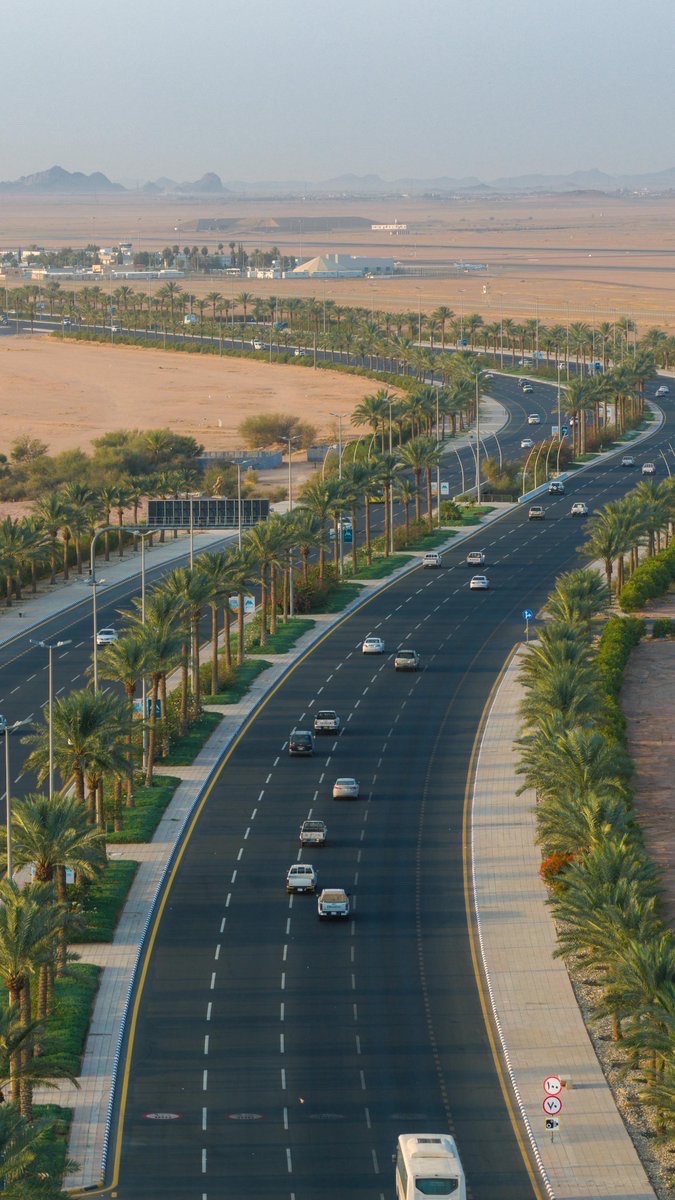 Amanat_Hail's tweet photo. 🔅 | جماليات

      ▫️◻️ طريق المطار ◻️▫️
        لوحة تمتد بين النخيل 🌴

تناغم التصميم مع الطبيعة صنع مشهد هندسي فريد 
كل تفصيلة فيه تحكي عن #حائل_الأجمل 💚

📸 | #حائل_الأجمل
#أمانة_منطقة_حائل https://t.co/p30bfhLLzH