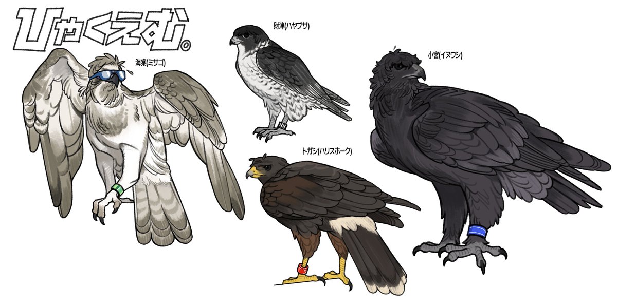 🦅🪶
#ひゃくえむ