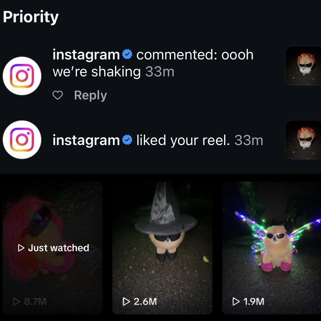 $KORI is coiling for something massive.

Official Instagram just commented on Kori’s new video.

Videos under 24h old are going viral back to back.

Market full of PVP and wars, but $KORI has been the strongest for 5 months straight. 

The only dog that captures daily attention