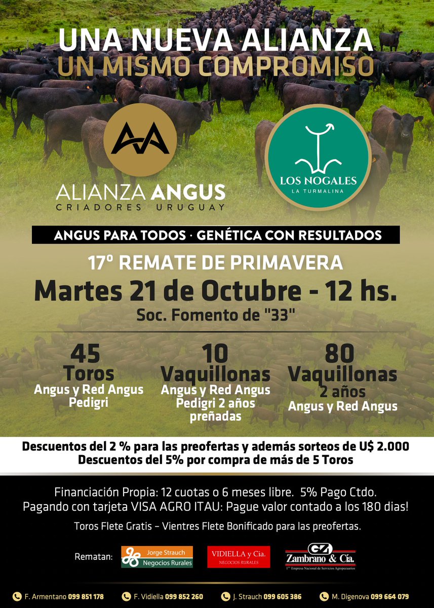 Angus Uruguay tweet media