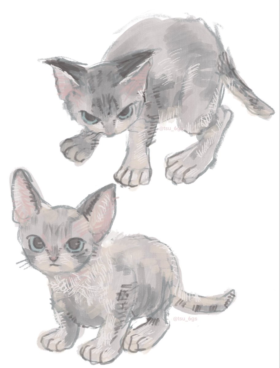 tsu_6gs's tweet image. この子かわいすぎる😮‍💨 表情もいいけど手足の感じが特にかわいい
指がしっかりしているというか・・・
元気に大きくなってね