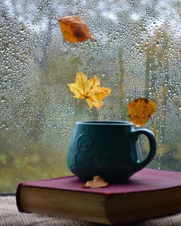 Oggi va così ma restiamo sempre ottimisti😊
Buon pomeriggio ☕️🍁🍂☔️
