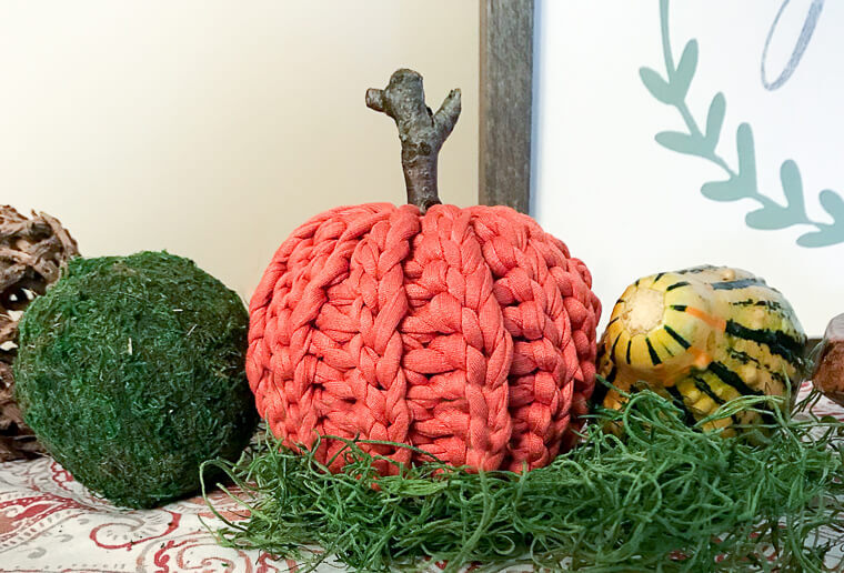 petalstopicots's tweet photo. This rustic crochet pumpkin is made with T-shirt yarn and is super quick to work up! The pattern is great for all crochet experience levels as well since it’s worked flat, with no increasing or decreasing, and then seamed up and stuffed. The slip stitch … https://t.co/nAjRhgdvI8 https://t.co/QiViexsHJl