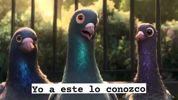 chiqui.⠀ Regina tipo: