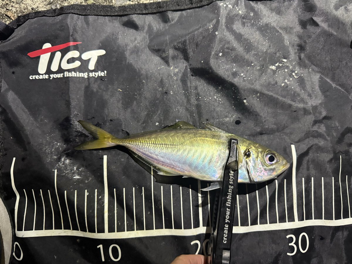 山口 剛 legitdesign TICT on X