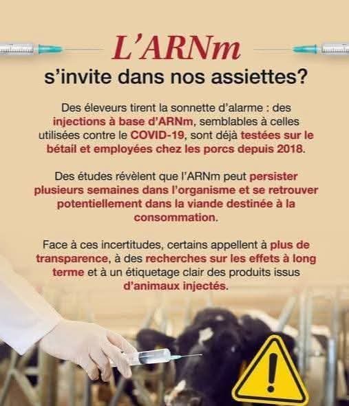 deloche (@mrcldel) on Twitter photo 