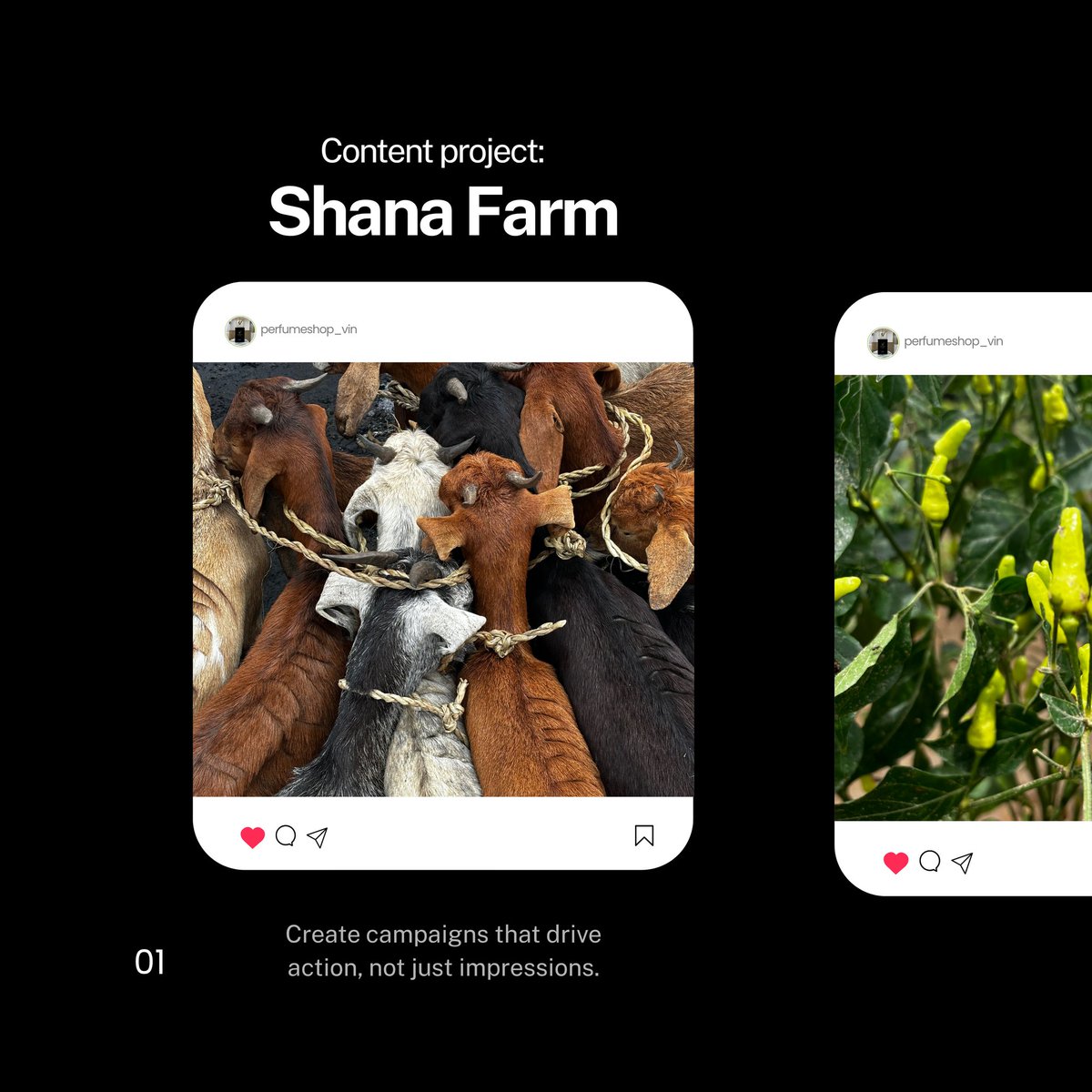 secondsagency's tweet photo. CONTENT PROJECT : SHANA FARM

We deliver only the best when it comes to our clients.

#contentcreator #creativeagency #secondsunday #socialmediamanagement https://t.co/wdzDRugoD0