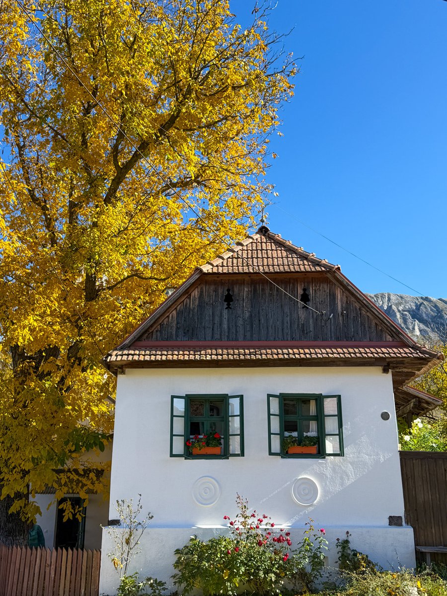 autumn colors are the best 🍁