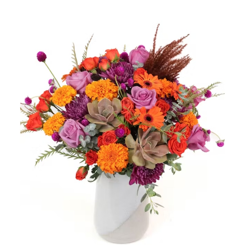 MayfieldFlorist's tweet image. Your fall decor is about to get a bewitching makeover with our Hocus Pocus Bouquet! 🔮
Featuring purple roses, orange gerbera daisies, & marigolds, accented by succulents & textures, it's sure to cast a beautiful spell!🏵️💜🍂
#HocusPocus #FallFlowers #SpookyDecor #MayfieldFlorist