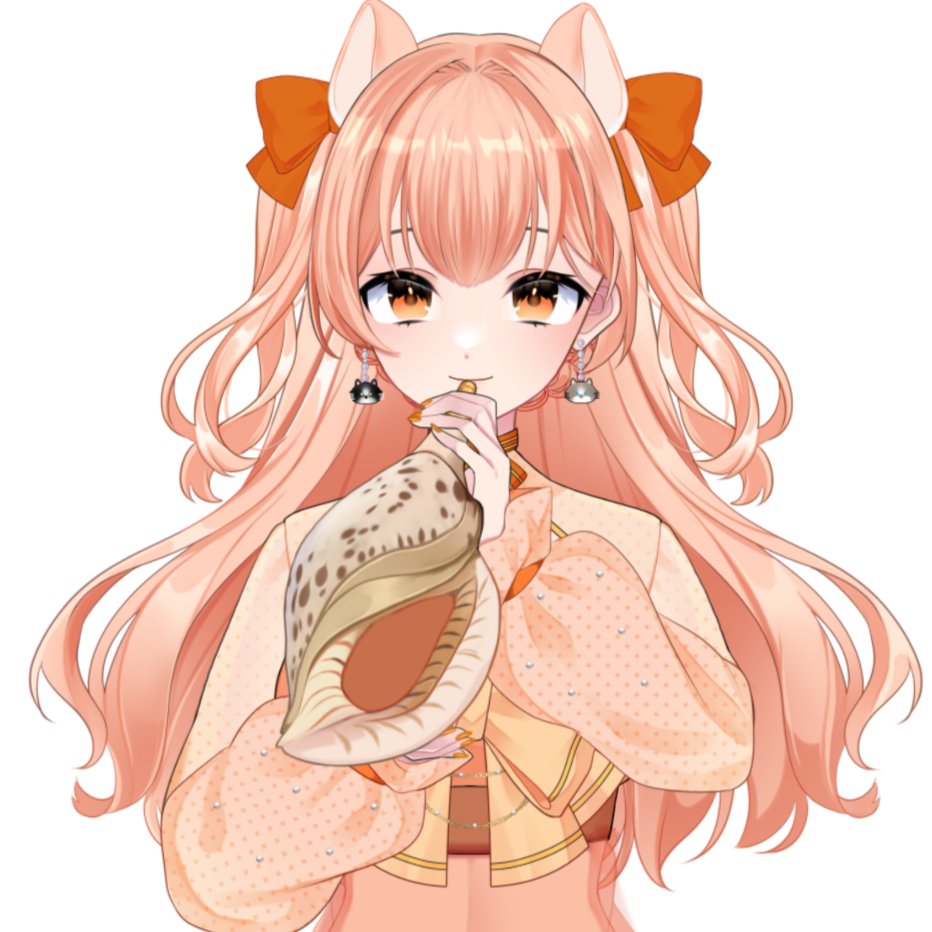 法螺貝　ＮＯ５７
ホラ貝、和楽器、和太鼓、修験道 法螺貝