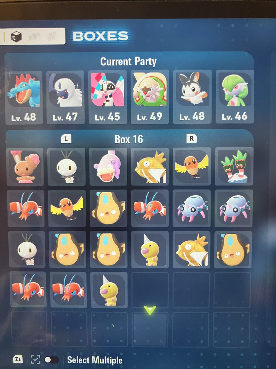 Been searching for shiny Furfrou and I almost have a full box of shinies just from searching in that area 😭