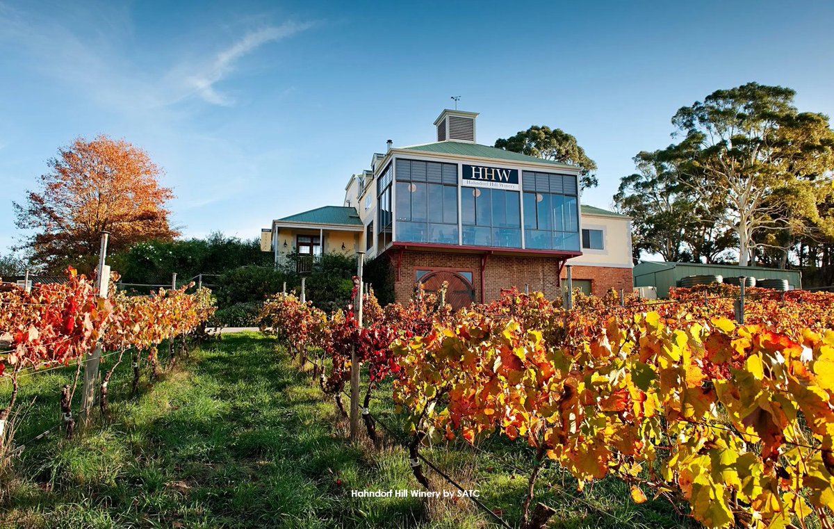 godrivin's tweet photo. Post 3 Drop! 🍷🍻🌿 Taste the Hills:
•Hahndorf Hill (ChocoVino)
•Ambleside Distillers (Craft Gin)
•Prancing Pony Brewery (Inside the brew house!)
•Beerenberg Farm (Pick Your Own)
•NGERINGA Farm (Biodynamic Wine/Produce)
•Jurlique Farm (Wellness Tour) https://t.co/25XUlmnnwR https://t.co/BR85cmqLja