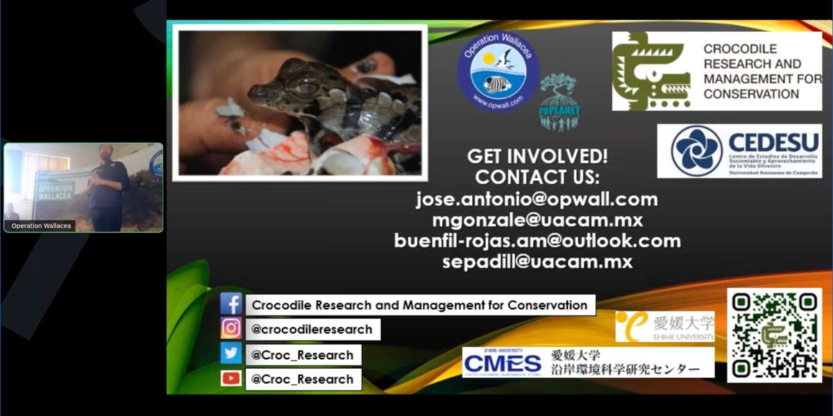 Crocodile Research and Management for Conservation tweet media